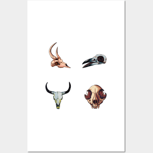 Animal Skulls Posters and Art